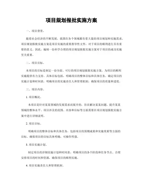 项目规划报批实施方案