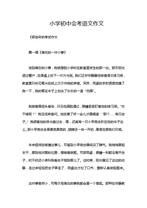 小学初中会考语文作文