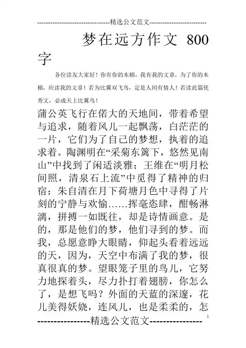 梦在远方作文800字