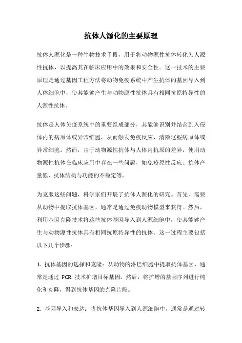 抗体人源化的主要原理