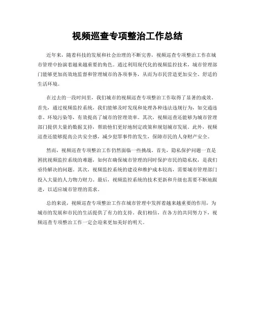 视频巡查专项整治工作总结