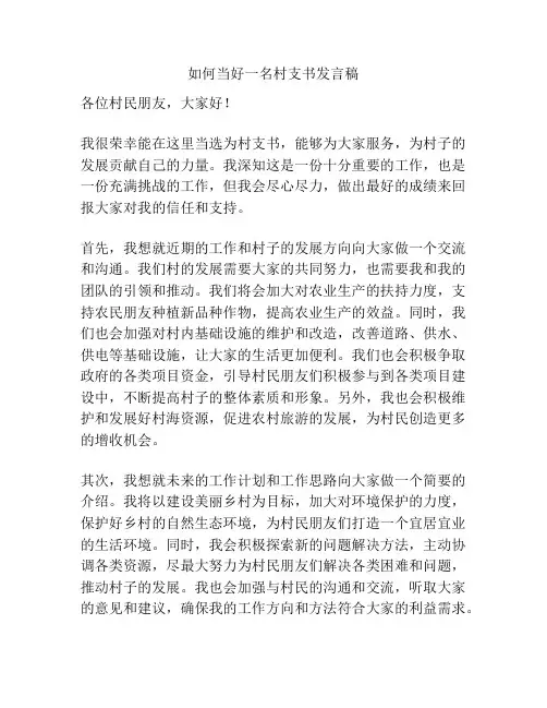 如何当好一名村支书发言稿
