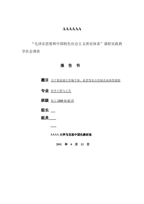 关于个体、私营等非公有制企业典型调查报告