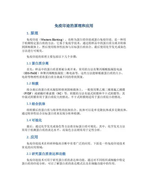 免疫印迹的原理和应用