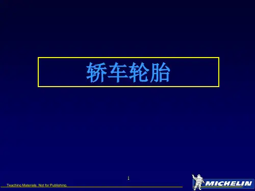 米其林轮胎标记解读