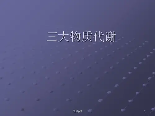 三大物质代谢