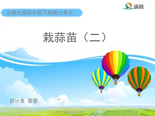《栽蒜苗(二)》教学课件