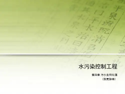 第四章污水生物处理脱氮除磷6课时ppt课件