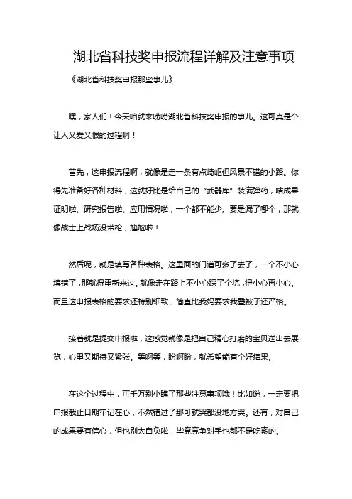 湖北省科技奖申报流程详解及注意事项