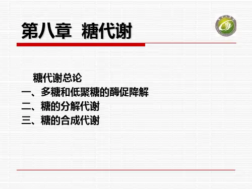 生物化学 糖代谢
