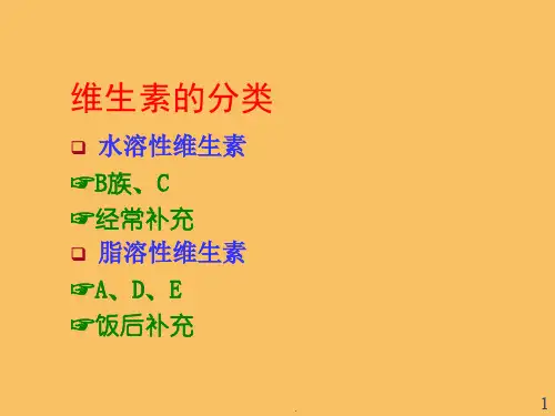 B族维生素片PPT课件