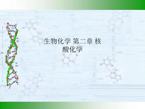 生物化学 第二章 核酸化学
