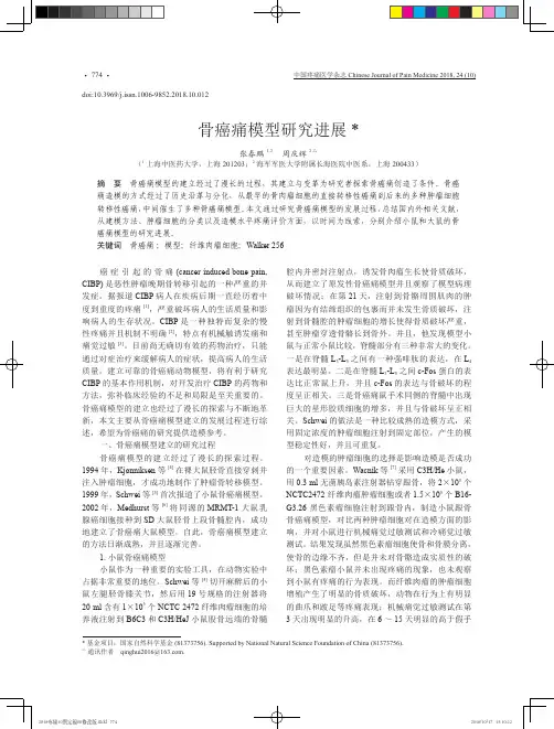 骨癌痛模型研究进展