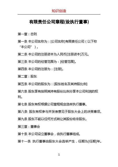 有限责任公司章程(设执行董事)