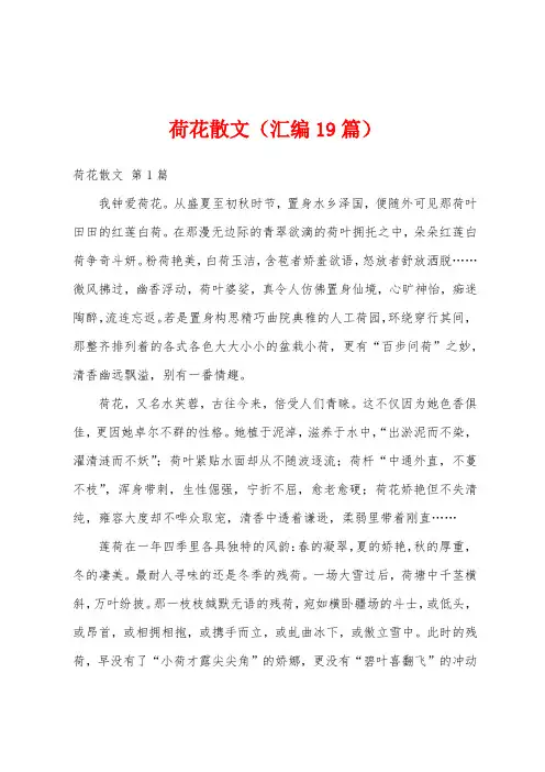 荷花散文(汇编19篇)