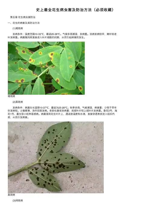 史上最全花生病虫害及防治方法（必须收藏）