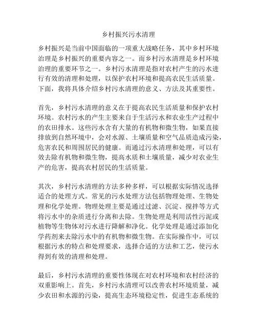 乡村振兴污水清理