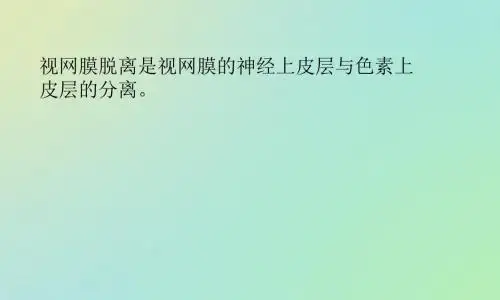 视网膜脱离PPT课件