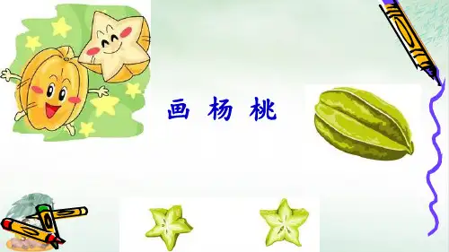 《画杨桃》课件公开课(共17张PPT)