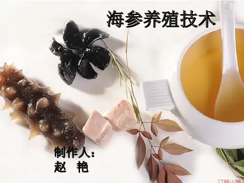 海参养殖技术 赵艳