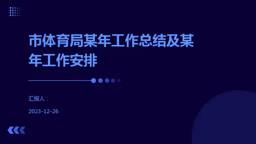 市体育局某年工作总结及某年工作安排