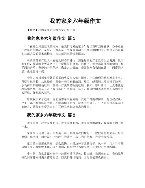 我的家乡六年级作文