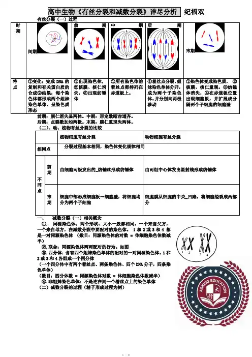高中生物必修二有丝分裂减数分裂详尽分析doc打印