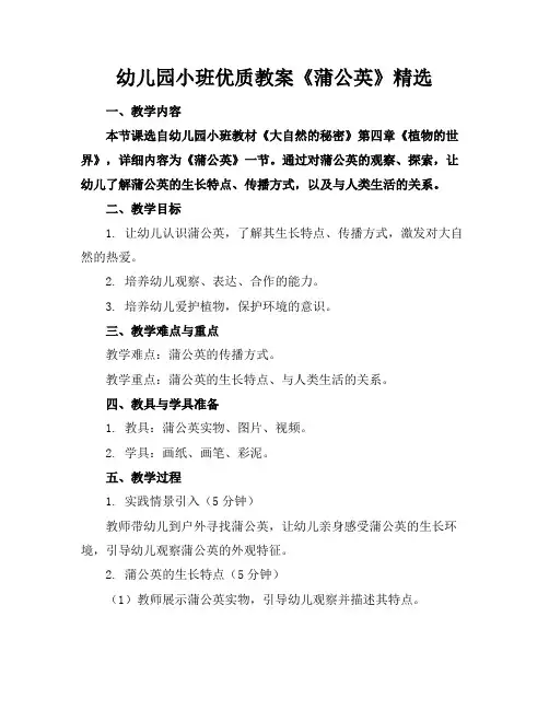 幼儿园小班优质教案《蒲公英》精选