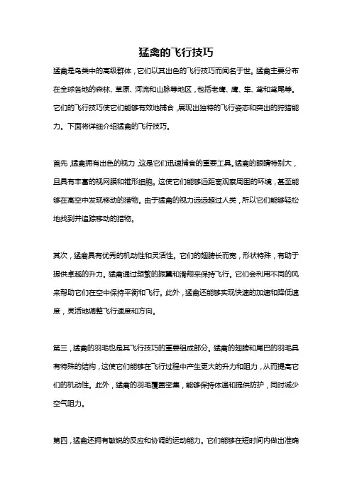 猛禽的飞行技巧