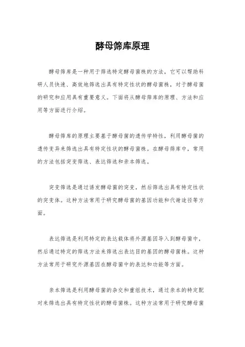 酵母筛库原理