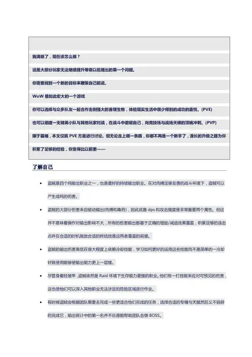 盗贼的进阶