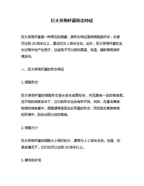 巨大芽孢杆菌形态特征