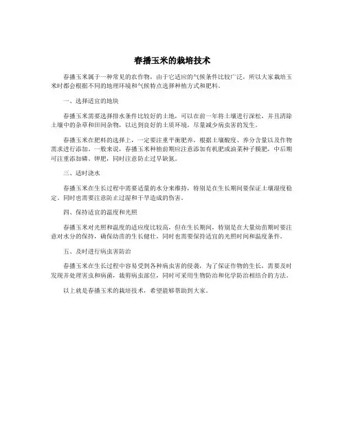 春播玉米的栽培技术