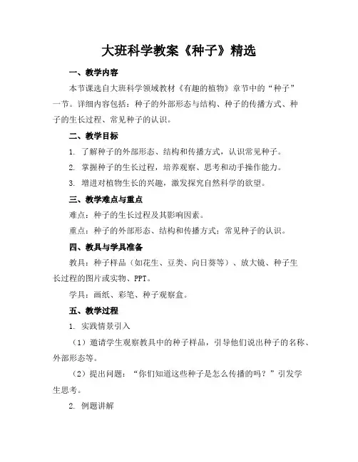 大班科学教案《种子》精选