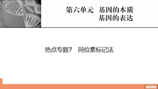 热点专题7同位素标记法-2025年生物学高考总复习课件