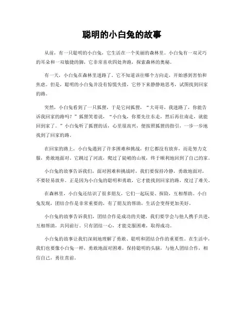 聪明的小白兔的故事