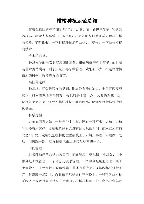 柑橘种植示范总结