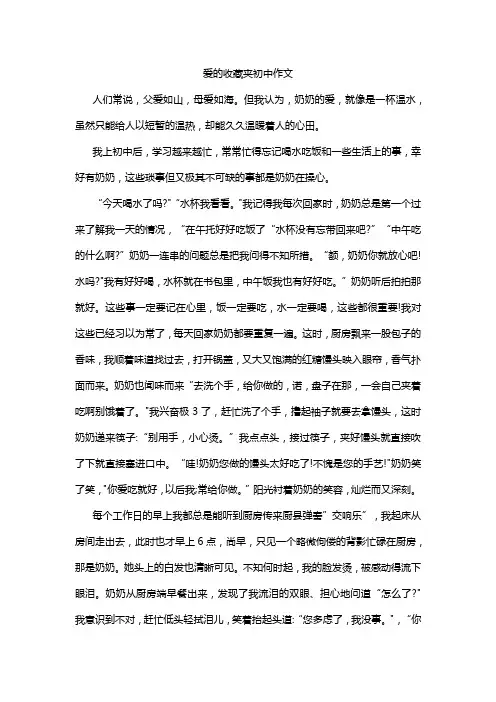 爱的收藏夹初中作文