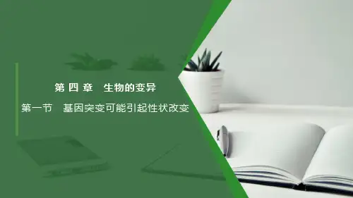 基因突变可能引起性状改变-高一生物课件(浙科版2019必修2)