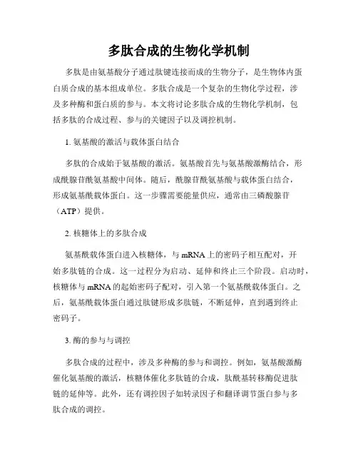 多肽合成的生物化学机制