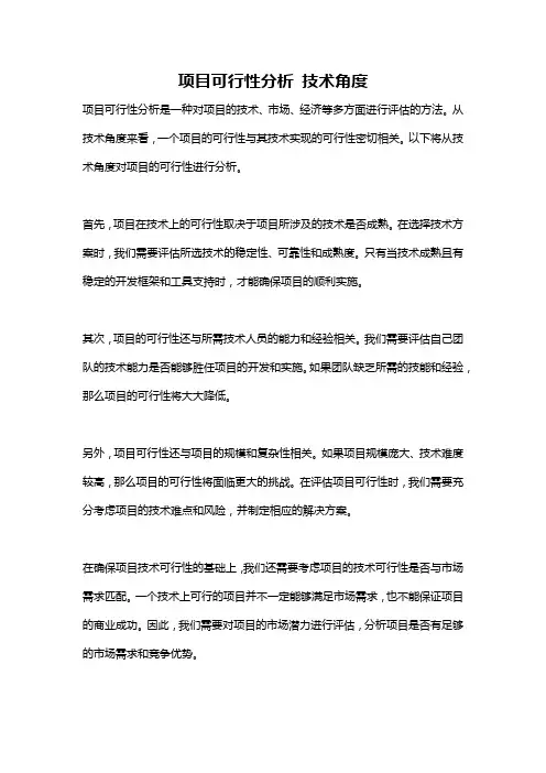 项目可行性分析 技术角度
