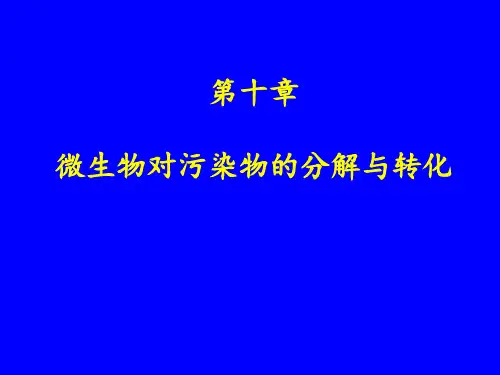 第十章微生物的有机物降解PPT课件