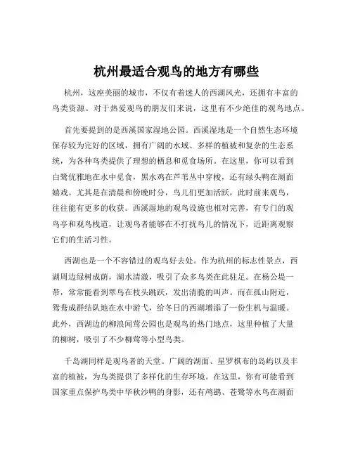 杭州最适合观鸟的地方有哪些