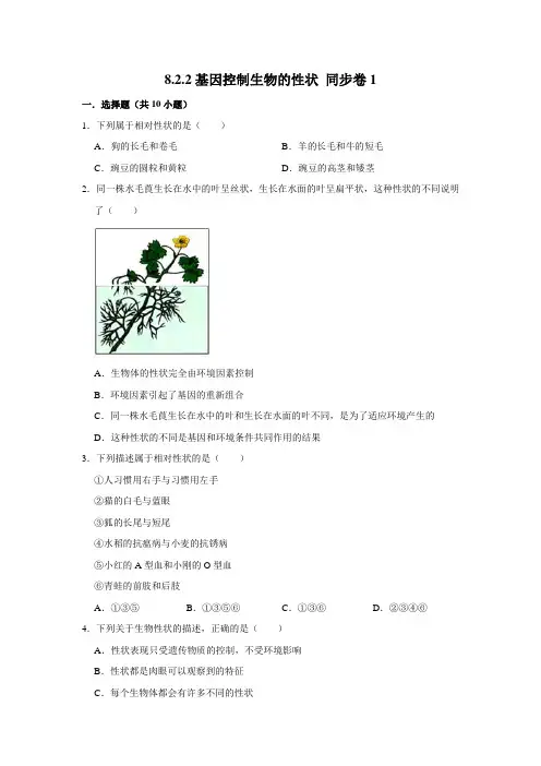 鲁科五四制版生物八年级下册基因控制生物的性状
