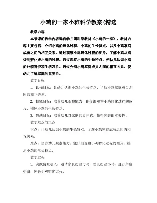 小鸡的一家小班科学教案(精选