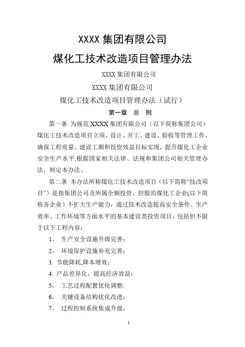 煤化工技术改造项目管理办法