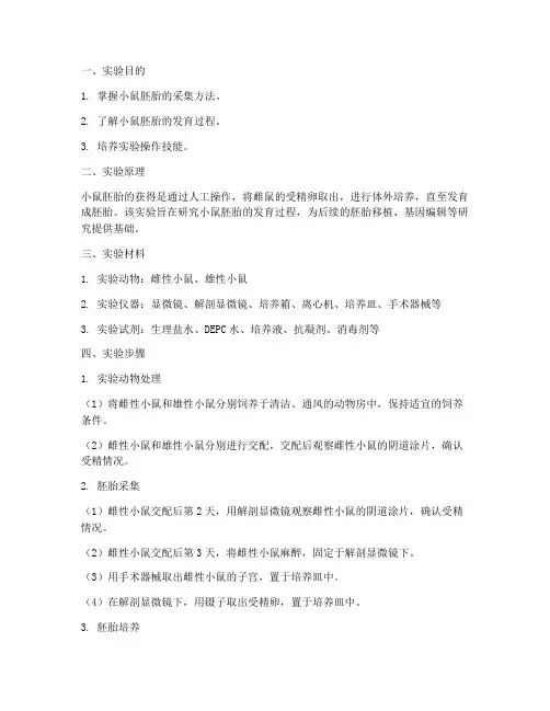 小鼠胚胎获得实验报告