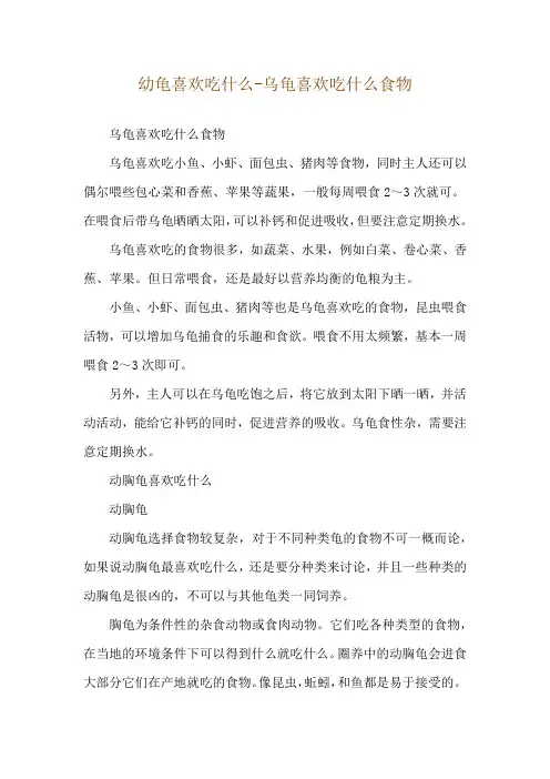 幼龟喜欢吃什么-乌龟喜欢吃什么食物