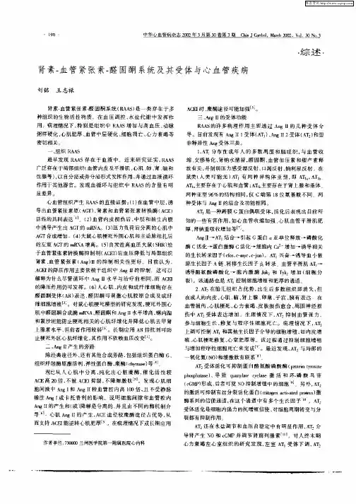 肾素—血管紧张素—醛固酮系统及其受体与心血管疾病