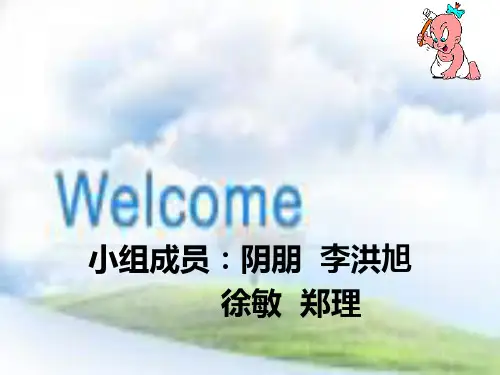 伊利营销战略分析ppt-内蒙古伊利实业集团股份有限责任公
